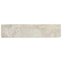 Fino Beige (250×60×6) – Beige 2
