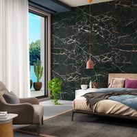 Stone Carving Nero 60x120 – Nero 3