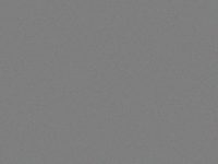 Harmony Dove 60x120 – Dove 6