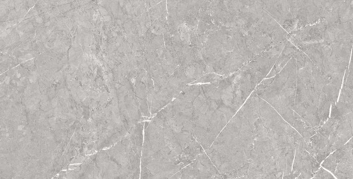 Sago Grey 60x120 – Grey – 60x120