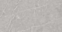 Sagon Grey 60x120 – Grey 2