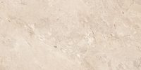 Element Castano Tan 60x120 – Pilkas 2