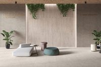 Mistical Virtue Camel 60x120 – Brown 3