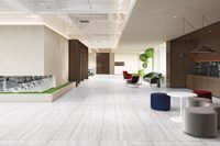 Travertine Silver 60x120 – Silver 2