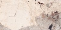 Patagonia Warm 60x120 – Brown 9
