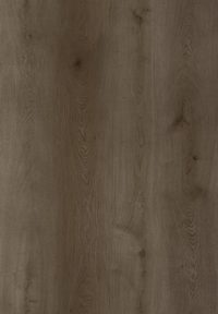 SPC grindų danga SENTAI ezLife+ V4 Oak Greenock 1520*228*6,5 (0,55) 5GI – Ruda 3